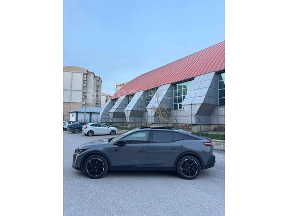 Selenyum gri 408gt