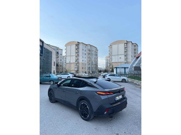 Selenyum gri 408gt