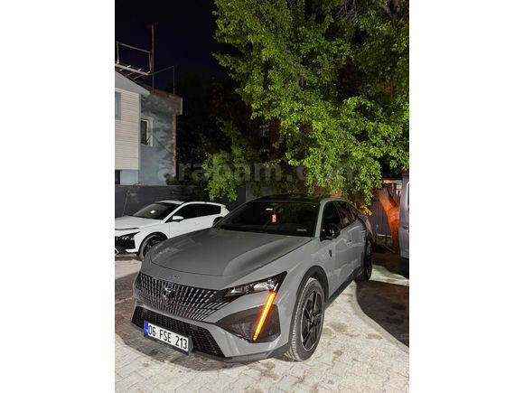Selenyum gri 408gt