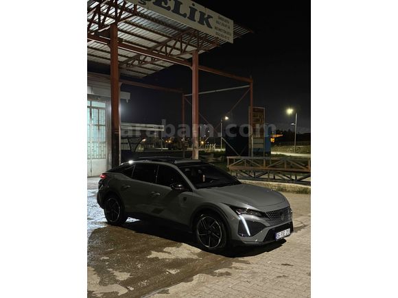 Selenyum gri 408gt