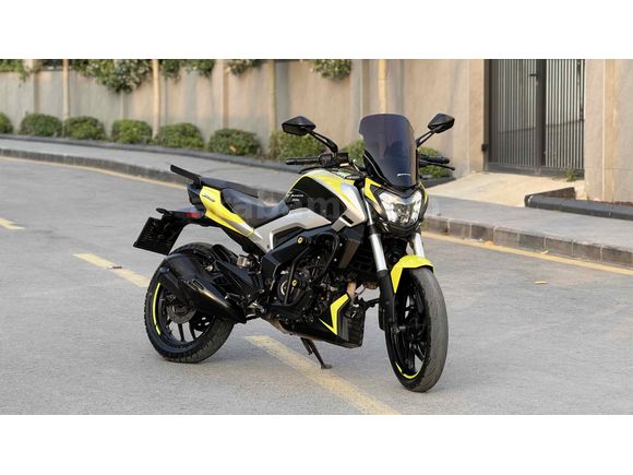 Sarı Civciv Dominar 250 D 
