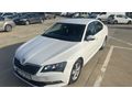 Sahibinden Skoda SuperB 1.6 TDI Active 2017 Model  218.000 km Beyaz