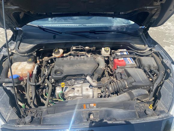 Sahibinden Ford Focus 1.5 TDCi Titanium 2019 Model