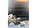 Sahibinden Ford Fiesta 1.25 Trend X 2017 Model