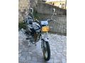 2024 GOLD ARORA CG50-150 ÖZEL SERİ KARBİRATÖRLÜ TELLİ JANT
