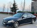 E250 4 MATİK TEK LOKAL BOYA KAPİ HARİCİ BOYASZ CAM TAVAN BEJ FUL