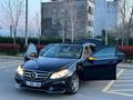 E250 4 MATİK TEK LOKAL BOYA KAPİ HARİCİ BOYASZ CAM TAVAN BEJ FUL