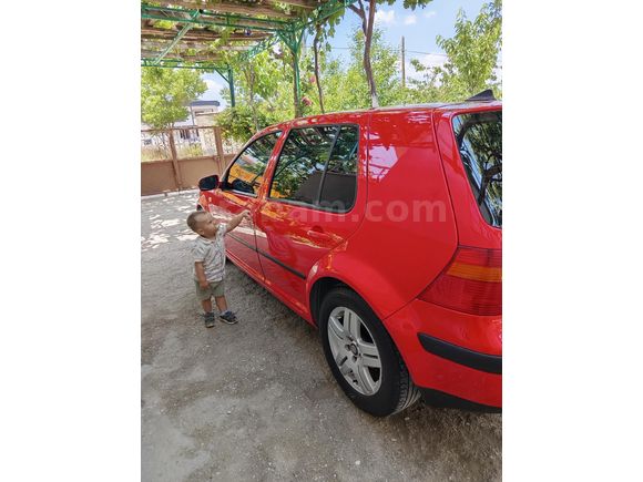 Kırmızının En Güzel Tonu