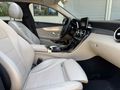 OTOBİN-AUTO