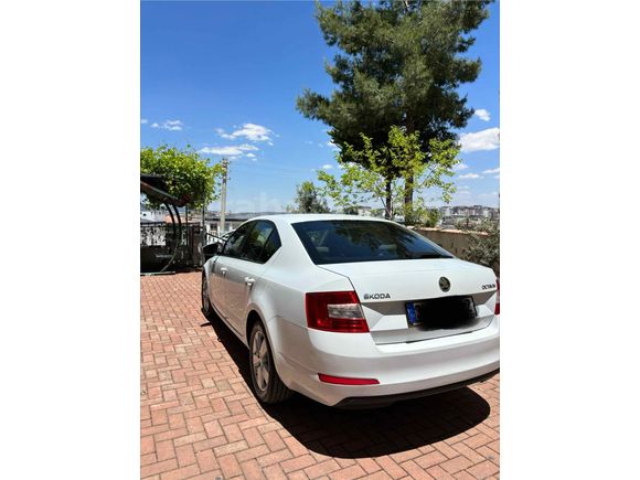 Sahibinden Skoda Octavia 1.6 TDI Optimal 2014 Model 