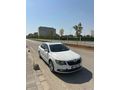 Sahibinden Skoda SuperB 1.6 TDI Elegance 2013 Model 