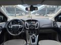 EMSALSİZ TEMİZLİKTE STYLA 115 hp FOCUS