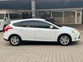 EMSALSİZ TEMİZLİKTE STYLA 115 hp FOCUS