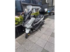 Sahibinden Honda Forza 250 (NSS250)  memurdan acil satılık