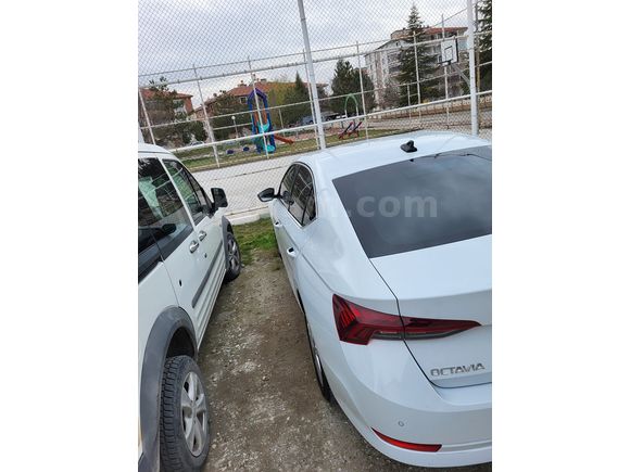 Sahibinden Skoda Octavia 1.0 e-Tec Premium 2020 Model 