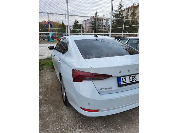 Sahibinden Skoda Octavia 1.0 e-Tec Premium 2020 Model 