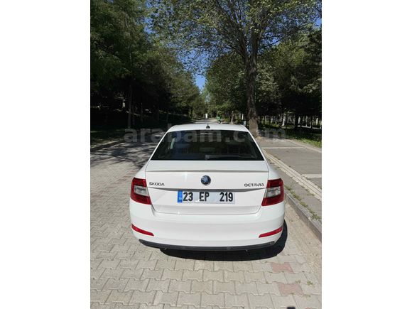 Sahibinden Skoda Octavia 1.6 TDI Optimal 2014 Model 