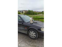 Sahibinden Honda Civic 1.6 LS 1999 Model