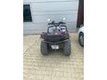 Sahibinden Arora Hector 450