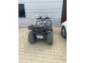 Sahibinden Arora Hector 450