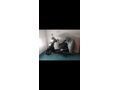 Sahibinden Honda Activa 125