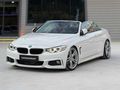 2015 4.20d CABRİO M SPORT,HAYALET,ENSE ÜFLEME,NBT,ISITMA,SİNEKLK