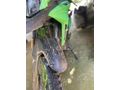 Sahibinden RKS Blackwolf 250 
