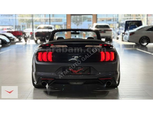 ATM Auto Gallery'den MUSTANG 2.3 CONVERTIBLE SOĞUTMA/GT500