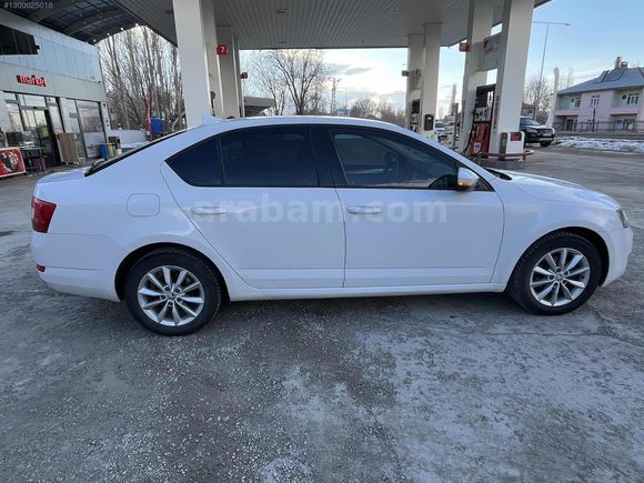 HATASIZ OCTAVİA