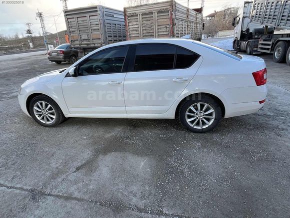 HATASIZ OCTAVİA