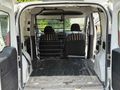 2013 doblo cargo