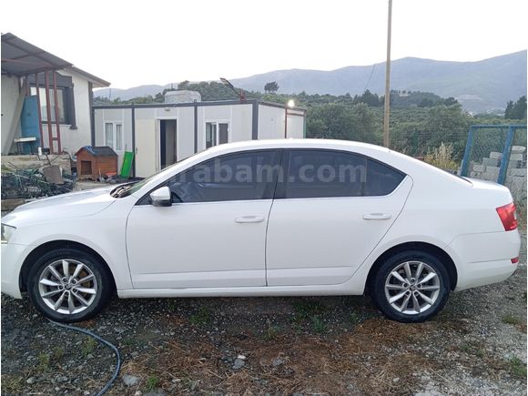 Sahibinden Skoda Octavia 1.6 TDI Elegance CR 2013 Model