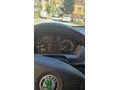 Sahibinden Skoda Fabia 1.4 Special 2004 Model