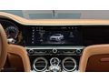 ""GARDEN""2024 BENTLEY GT FİRST EDİTİON SERAMİK NAİM 782HP