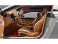 ""GARDEN""2024 BENTLEY GT FİRST EDİTİON SERAMİK NAİM 782HP