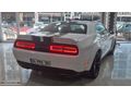 2020 HATASIZ DODGE CHALLENGER 3.6 305 BG