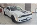 2020 HATASIZ DODGE CHALLENGER 3.6 305 BG