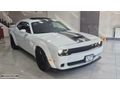2020 HATASIZ DODGE CHALLENGER 3.6 305 BG