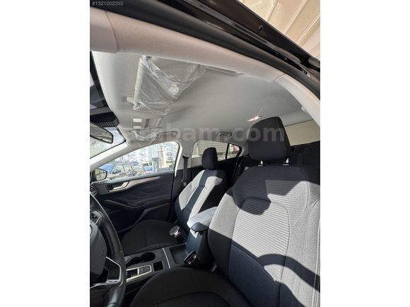 Focus 1.5 Ecoblue Titanium