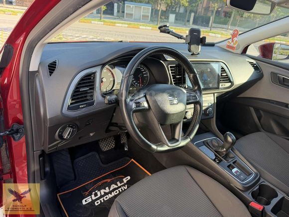 CİĞER GİBİ LEON CAM TAVAN