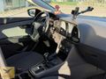 CİĞER GİBİ LEON CAM TAVAN