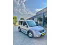 UĞUR AUTODAN Connect 1.8 TDCI SWB Silver 2012 Model