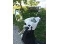 Sahibinden Kral Motor Vega 125