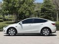 HATASIZ/TESLA-Y/FULL-PPF/K.K.12TAKSİT