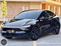 HG Car's - TESLA MODEL Y PREMIUM JUNIPER