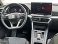 ŞEKİL OTOMOTİV'DEN 2025-1P BOYA LEON FR
