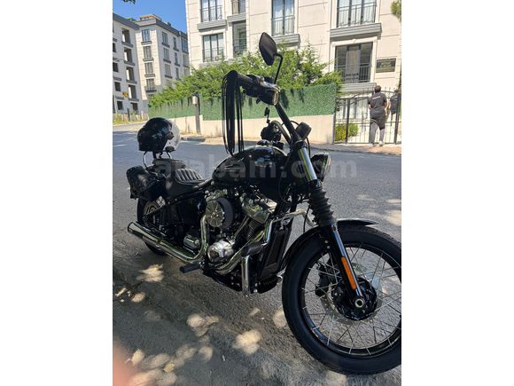 Harley Davidson Softail Street Bob Yolların Asi Canavarı Stage