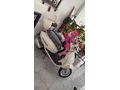 Sahibinden Rutec Grace 50 