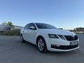 Sahibinden Skoda Octavia 1.6 TDI Optimal 2019 Model 