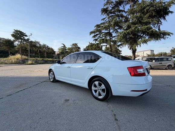 Sahibinden Skoda Octavia 1.6 TDI Optimal 2019 Model 